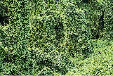 IGN更新十大最佳类魂游戏 《匹诺曹的谎言》上榜